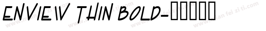 Enview Thin Bold字体转换
